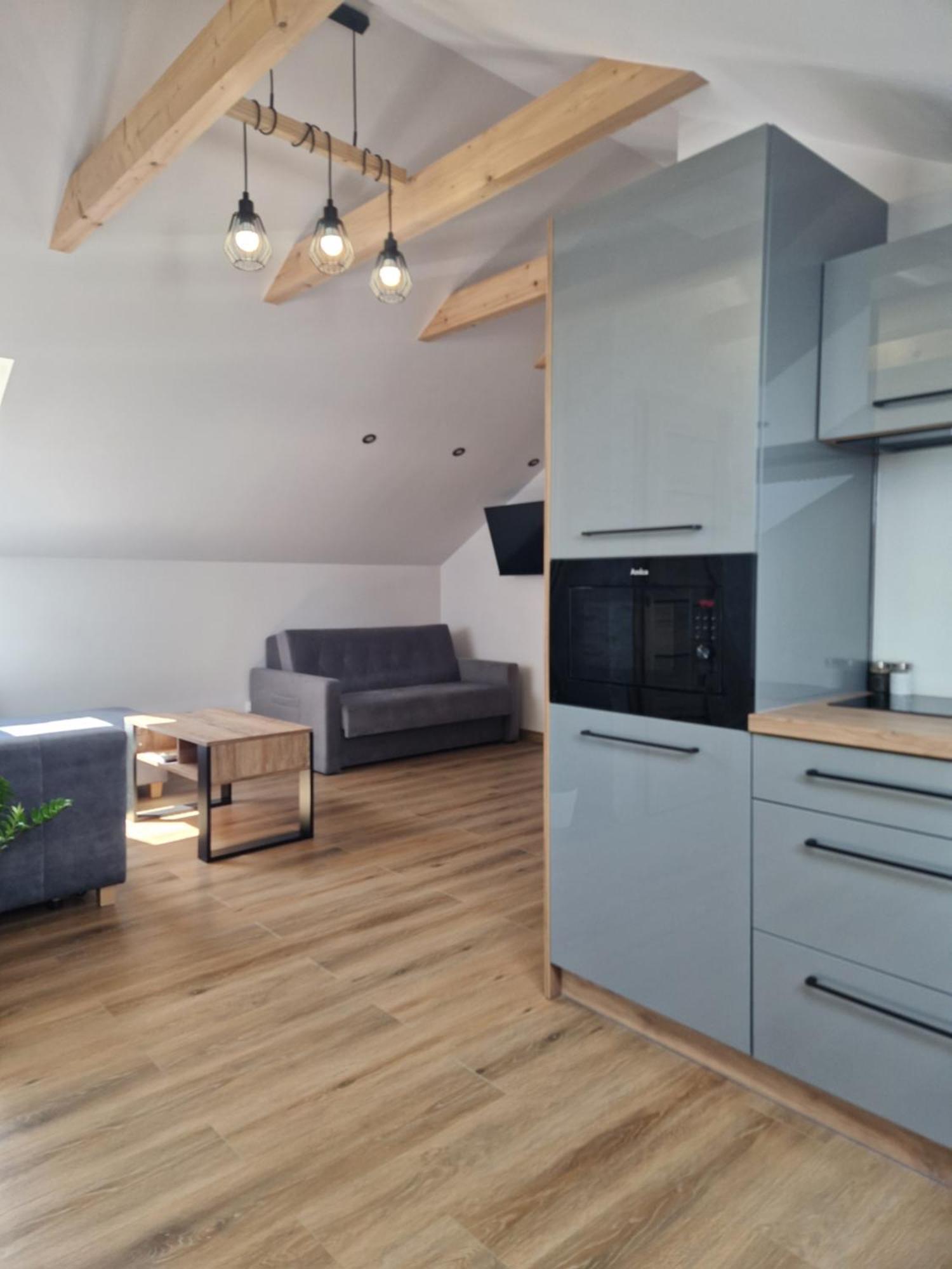 Bianco Apartamenty Laskowa - 扎托尔 外观 照片